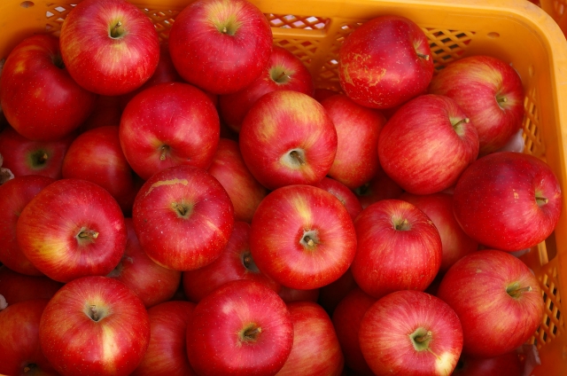 １日１個のりんごで免疫力アップ りんごの効果とりんごの香り 旅とアロマ