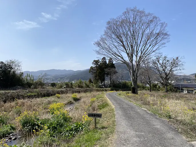 春の花と香りに癒される 湯布院 ひとり旅 風景に溶け込む美術館 博物館 旅とアロマ