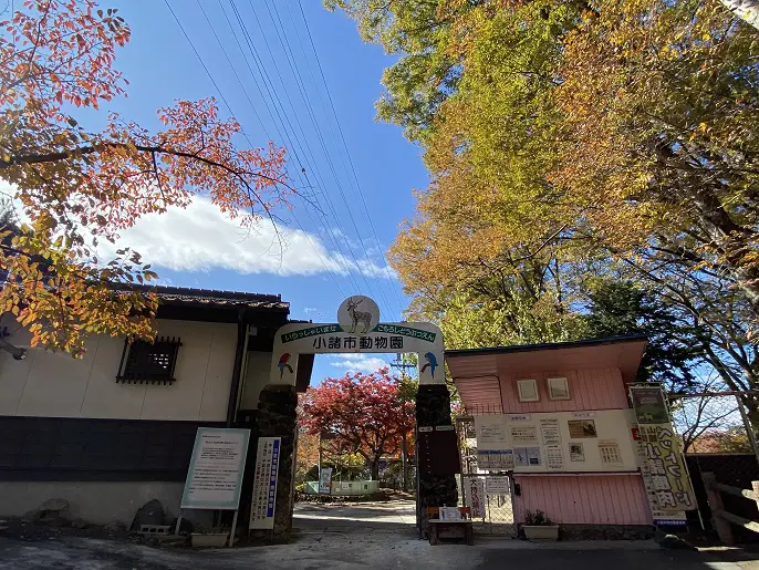 今年一番の紅葉 長野県の小諸城址 懐古園 の美しい秋 旅とアロマ